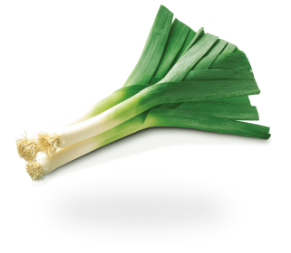 Leek