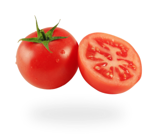 Tomato